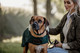 Kentucky Dog Coat, dark green, 46cm