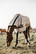 Kentucky Mesh fly rug hyönteisloimi, beige, 155cm