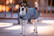 Kentucky Dog Coat heijastintakki, hopea