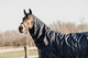 Kentucky 50g ulkoloimi Turnout Rug All weather Waterproof Classic, tummansininen, 145cm