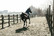 Kentucky 50g ulkoloimi Turnout Rug All weather Waterproof Classic, tummansininen, 145cm