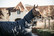 Kentucky 50g ulkoloimi Turnout Rug All weather Waterproof Classic, tummansininen, 145cm