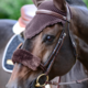 Kentucky Sheepskin noseband cover, ruskea
