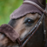 Kentucky Sheepskin noseband cover, ruskea