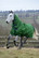 Bucas Freedom Turnout 150g fullneck ulkoloimi, emerald