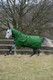 Bucas Freedom Turnout 150g fullneck ulkoloimi, emerald