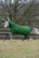 Bucas Freedom Turnout 300g fullneck ulkoloimi, emerald
