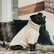 Kentucky Dog Sweater Teddy Fleece, beige
