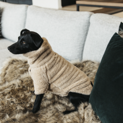 Kentucky Dog Sweater Teddy Fleece, beige