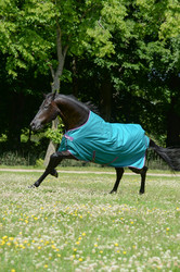 Bucas Freedom Turnout Light vuoreton sadeloimi, Green/Violet, koko 135cm