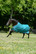 Bucas Freedom Turnout Light sadeloimi, Green/Violet, koko 135cm