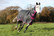 Bucas Freedom Turnout 150g fullneck ulkoloimi, charcoal