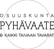Pyhävaate