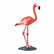 Flamingo Safari ltd