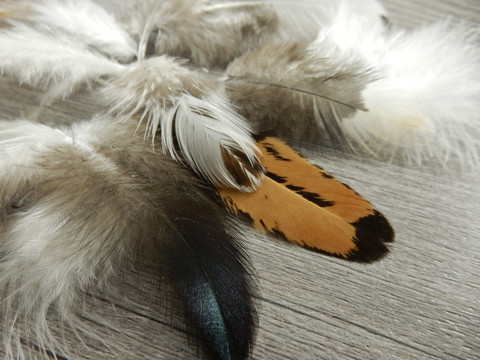 Kanan höyheniä. n.4-13cm, mixsetti, 50kpl