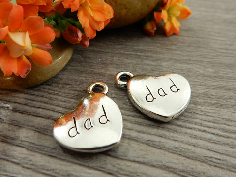 Dad riipus, 18x14mm, kromi, 1kpl