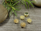 Koriste/ kapussi, 6mm, kulta, 10kpl