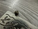 Metallihelmi filigraani, 6mm, pronssi, 20kpl