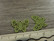Perhonenriipus, 12x14mm, vaaleanvihreä, 1kpl