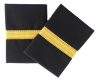 Epaulette, 1-Bar, Gold, pari (1490029)