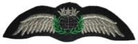 Pilot Wing (neulottava), hopea