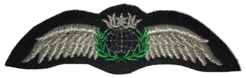 Pilot Wing (neulottava), hopea
