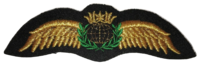 Pilot Wing (neulottava), kulta