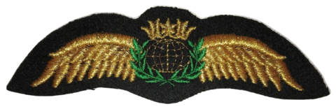 Pilot Wing (neulottava), kulta