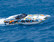 DCB M41 Catamaran BL TQi TSM Oranssi w/o Batt/Charger (57046-4OR)