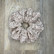 Hiusdonitsi, Lace Beige