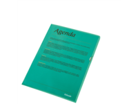 Muovitasku 120 Premium A4 PP vihreä LPS/10kpl/Pss