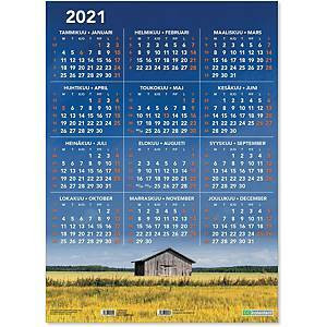 Vuosijuliste taulukkokalenteri 2021 520 x 720 mm