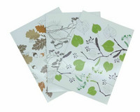 Nidottu vihko Nature A4, 40 sivua 10kpl pkt