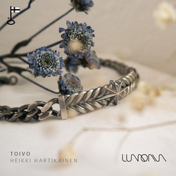 Lumoava Toivo -ranneketju
