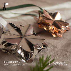 Lumoava Lumiruusu-joulukoriste 2022