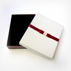 Krokotiilipintainen Vaalea/Viininpunainen lahjarasia koruille 13 x 16 x 3cm