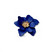 Siniset Mattapintaiset Kukkakorvakorut kullanvärisellä keskustalla