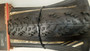 Bontrager Team Issue 29