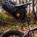 Restrap #carryeverything satulalaukku 14l, iso
