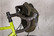 Brooks Scape Handlebar Compact - ohjaustankolaukku 10l