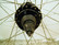 Mach 1 Traxx Disc 27,5
