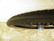 Schwalbe Hurricane Performance Addix RaceGuard 54-559 / 26