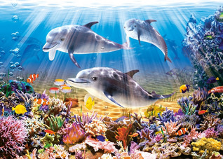 Castorland Dolphin World palapeli 500 palaa