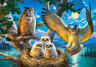 Castorland Owl Family palapeli 500 palaa