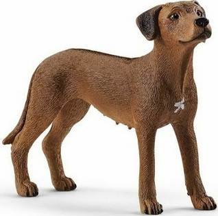 Schleich  Rhodesiankoira 13895