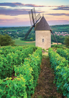 Nathan Moulin Sorene du vignoble de Santenay Bourgogne palapeli 1000 p