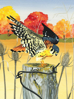 New York Puzzle Company American Kestrel palapeli 1000 palaa