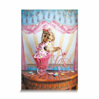 Star Puzzle Lisa Jane The Dreamer Traveler palapeli 500 palaa