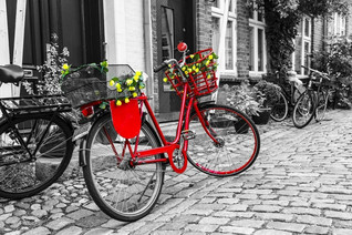 Nova Puzzle The Red Bicycle palapeli 1000 palaa
