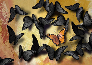Nova Puzzle Butterflies palapeli 1000 palaa